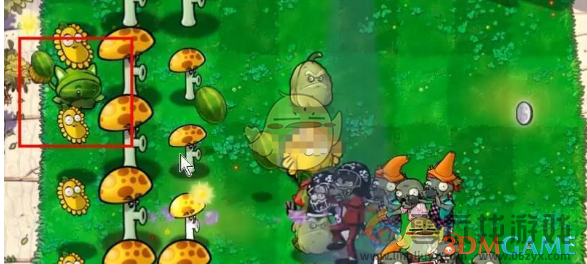 植物大战僵尸杂交版挑战模式第55关通关攻略(图3)