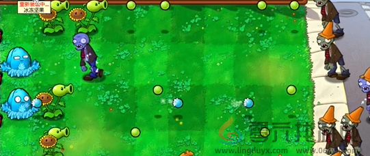 植物大战僵尸杂交版前院告急第四关如何速通(图4) 植物大战僵尸杂交版前院告急第四关如何速通(图4)