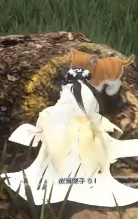 逆水寒手游捉猫记奇遇攻略(图5) 逆水寒手游捉猫记奇遇攻略(图5)